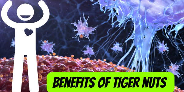 Discover the Top 10 Health Benefits of Tiger Nuts