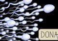 Sperm Donation In Texas: Regulations, Process, and Considerations