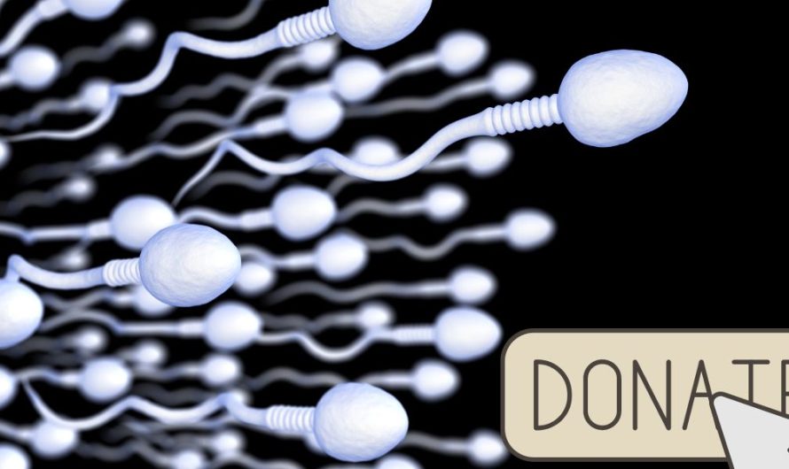 Everything You Need to Know About Sperm Donation in Texas: Requirements, Compensation, and Legal Considerations