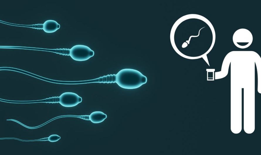 Sperm Donation Process In Kentucky: Everything You Need To Know