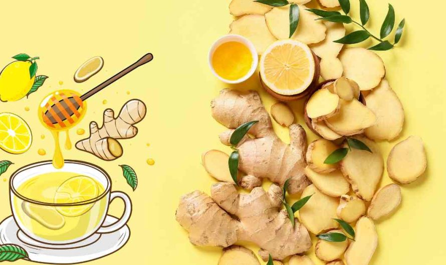 Can Ginger Make You Last Longer In Bed – Discover The Benefits Of Ginger